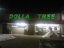 Dollar Trees in the hood