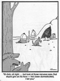 Domestication in the Far Side