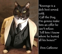 Don Catleone Im gonna make him an offer he cant refuse