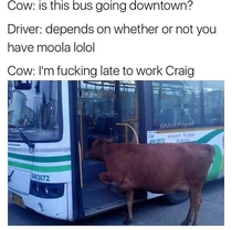 Dont be an asshole Craig