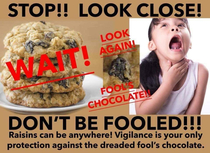 Dont be tricked by Fools Chocolate