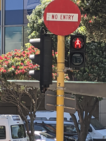 Dont cross or youll be tackled - Wellington NZ