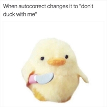 Dont duck with me