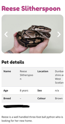 Dont even like snakes and I want it