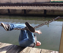 Dont have a friend take a picture of me while sitting on an unstable chain link fence