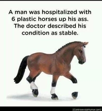 Dont horse around