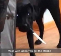 Dont mess with labbo