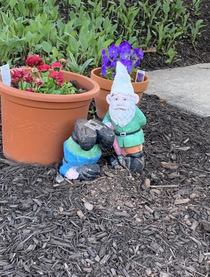 Dont mess with the gnome