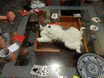 Dont mind me people Keep playing