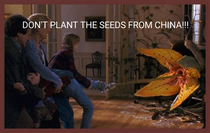 DONT PLANT THE SEEDS FROM CHINA