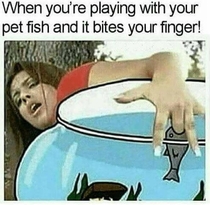 Dont play with your goldfish