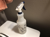 Dont spray the cats