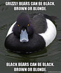 Dont take advice from a fucking duck picture I swear that guy might get someone killed