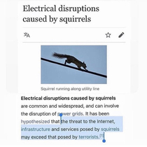 Dont underestimate squirrels