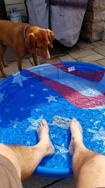 Dont want to brag But i just installed a new pool today