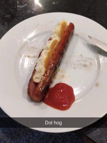 Dot hog