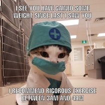 Dr Cat MD
