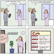 Dr Horse 