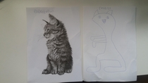 Drawing a cat