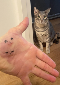 Drawing faces with my cat