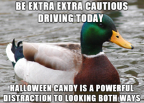 driving advice