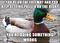 Driving etiquette should be re-tested every time you renew your license