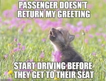 Driving the bus can be thankless sometimes
