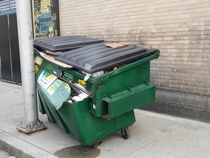 Drunk dumpster taking a leak in the alley