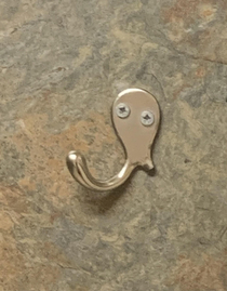 Drunk octopus lost a limb