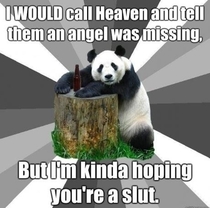 Drunk panda knows how to get a womans heart