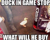 Duck in game stop