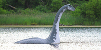 Due to less pollution in lockdown the Loch Ness monster comes up for some fresh air