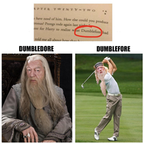 Dumbledore found a new hobby