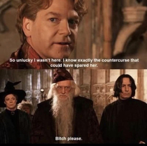 Dumbledore knew the score