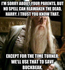 Dumbledore Logic