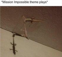 Dun Dun Da Da Dun Dun