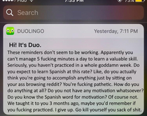 Duolingo owl is not pleased