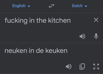 Dutch cant be a serious language