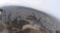 Eagle wearing a GoPro while flying over Paris goes in for a landing