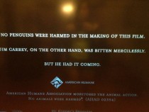 Easter egg at the credits of Mr Poppers Penguins