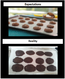 Easy to bake  ingredient cookies