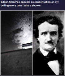 Edgar Allen Perv