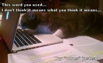 Editor kitty proofs your NaNoWriMo novel