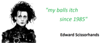 Edward Scissorhands problems