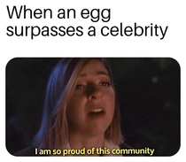 Eggs we need more eggs
