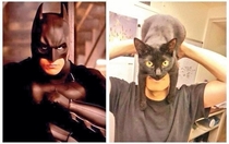 Ehh Batman Catman lets not get too worked up about the details here