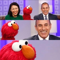 Elmo Knew All Along