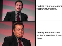 Elon Tusk