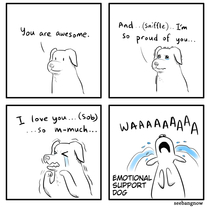 Emotional Support Dog