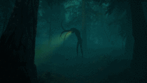 Entering the mysterious forest and encountering the Lovecraftian entities